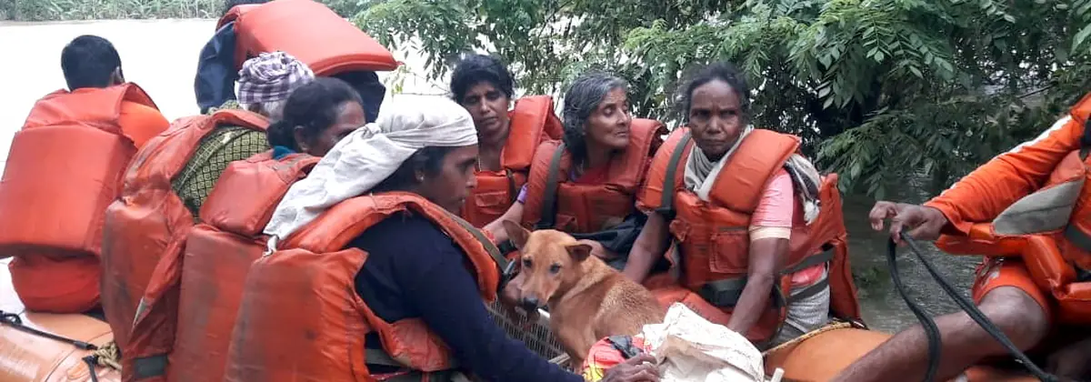 Disaster Management