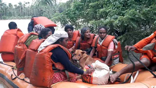 Disaster Management