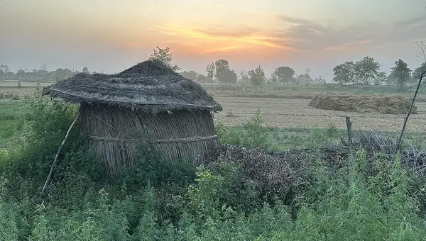 UP Agriculture