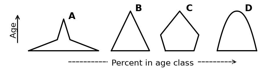 Figure for UPSC Prelims 2011 · CSAT (Paper II) question 12