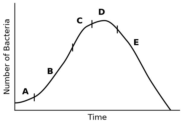 Figure for UPSC Prelims 2011 · CSAT (Paper II) question 31
