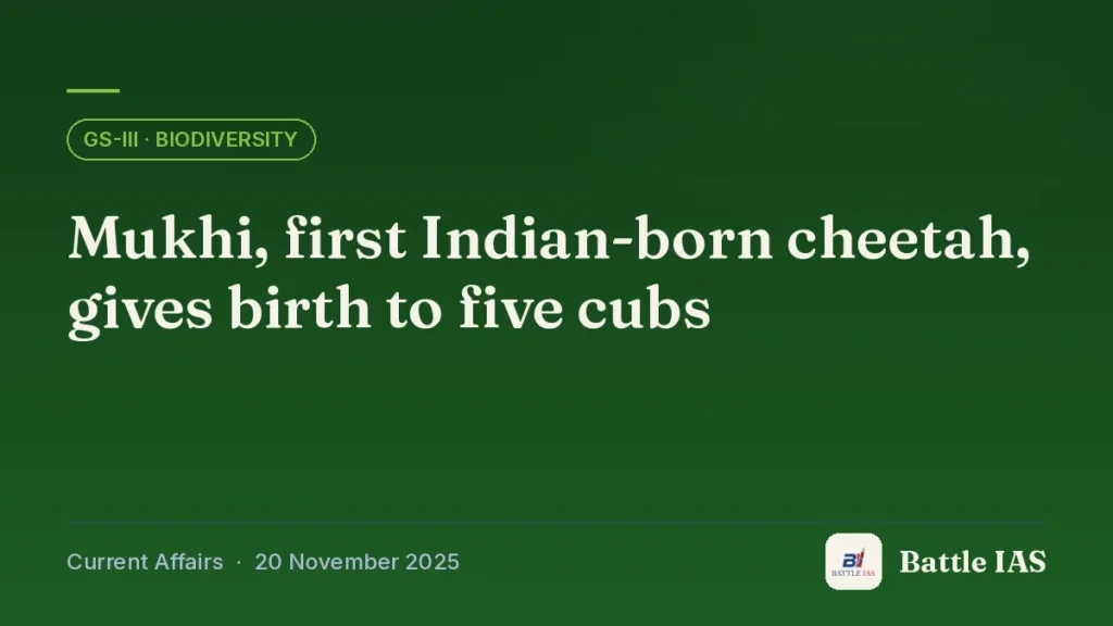 Battle IAS current affairs title card: Mukhi, first Indian-born cheetah, gives birth to five cubs (GS3 · Biodiversity, 20 November 2025)