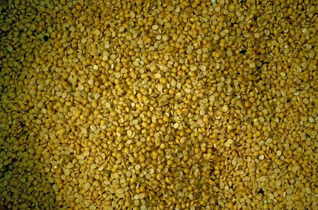 Red gram (tur/arhar dal), one of India's key pulses