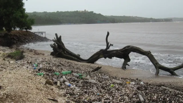 Waste cocobeach india