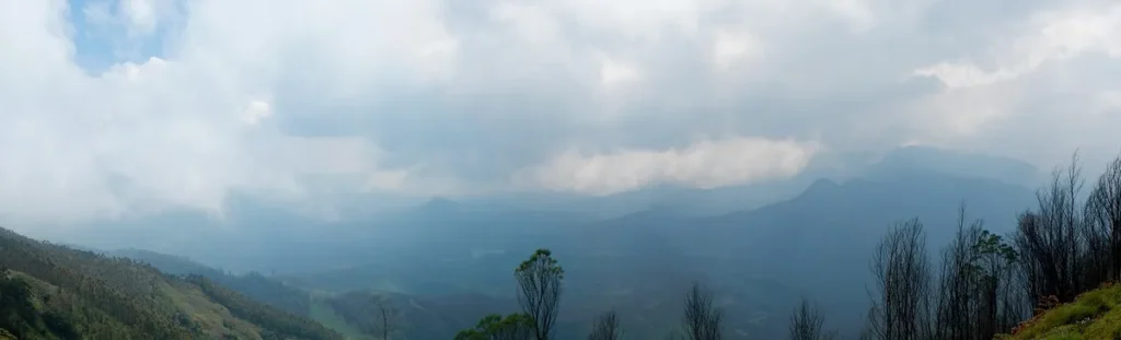 Munnar High Ranges,Western Ghats Kerala