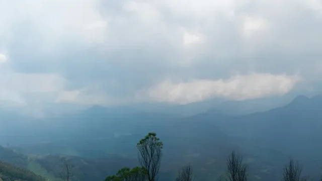 Munnar High Ranges,Western Ghats Kerala