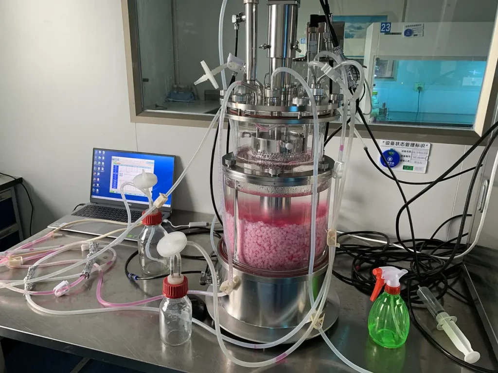 Bioreactor is capable of maintaining a stable environment that is conducive to cell growth.