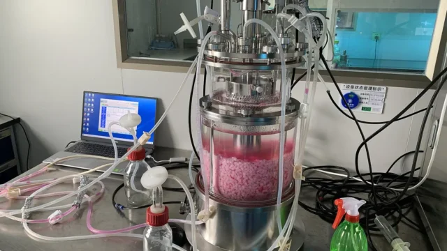 Bioreactor is capable of maintaining a stable environment that is conducive to cell growth.