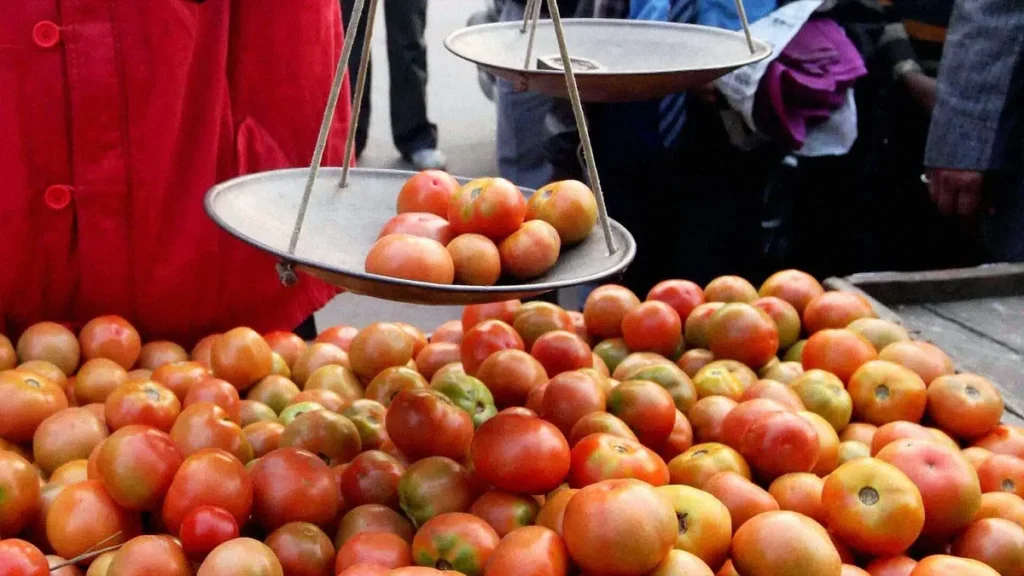 Tomatoes being weighed on a traditional balance scale at a market in Madurai