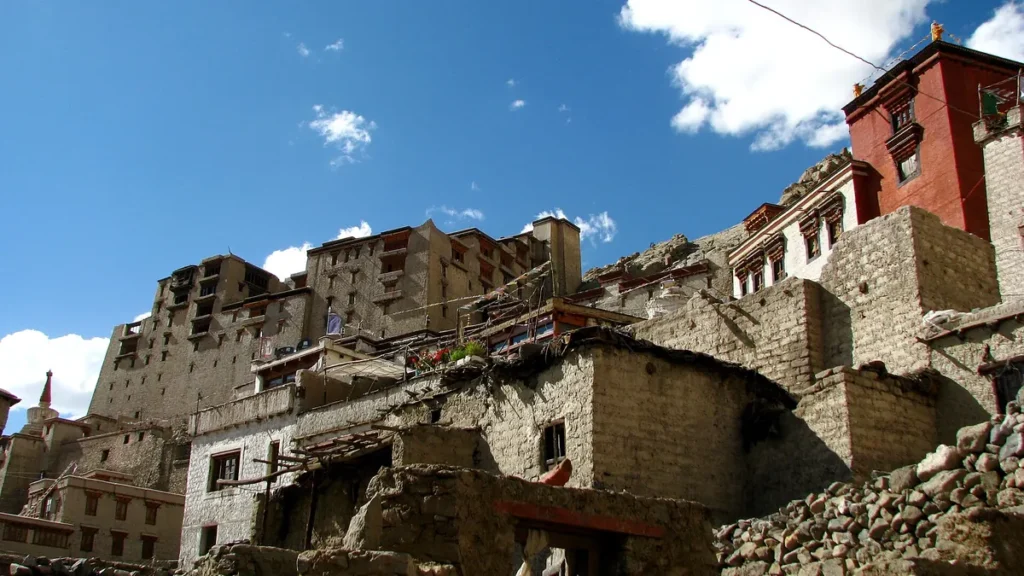 Old stone houses below Leh Palace in the old town of Leh, Ladakh