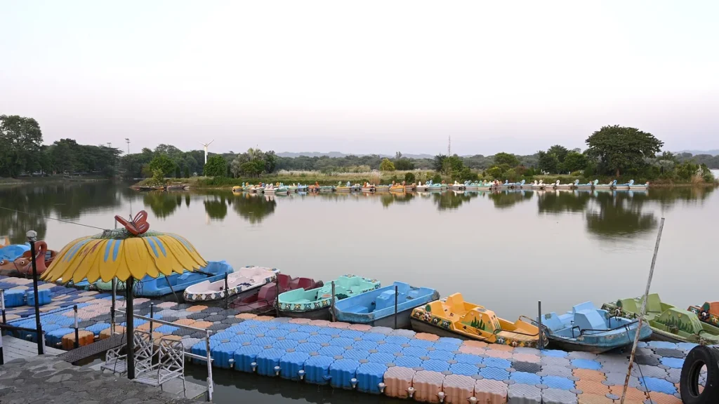 Paddle boats moored on Sukhna Lake, Chandigarh, at evening