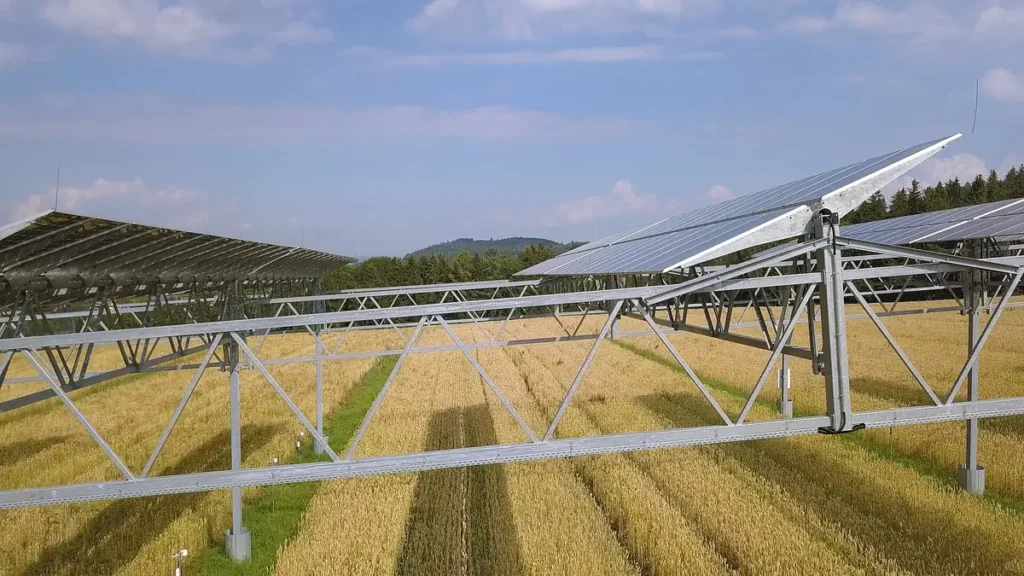 Solar panels raised on frames above a crop field