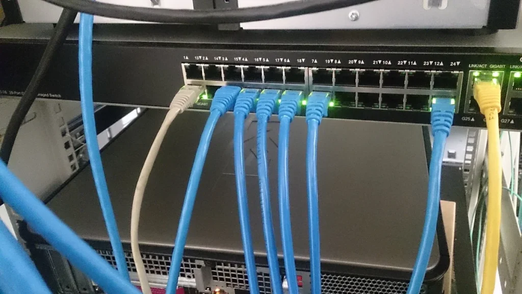 Blue network cables plugged into a data switch
