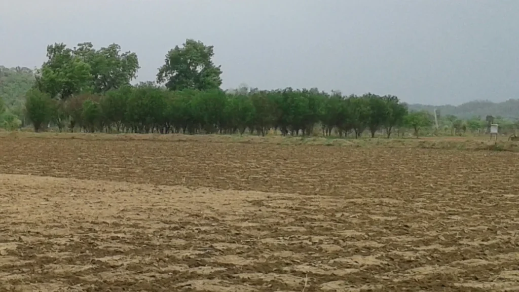 Dry ploughed farmland in a village in the Vidarbha region of Maharashtra