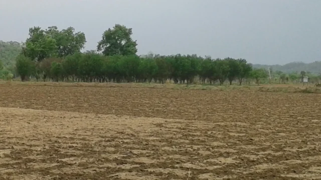 Dry ploughed farmland in a village in the Vidarbha region of Maharashtra