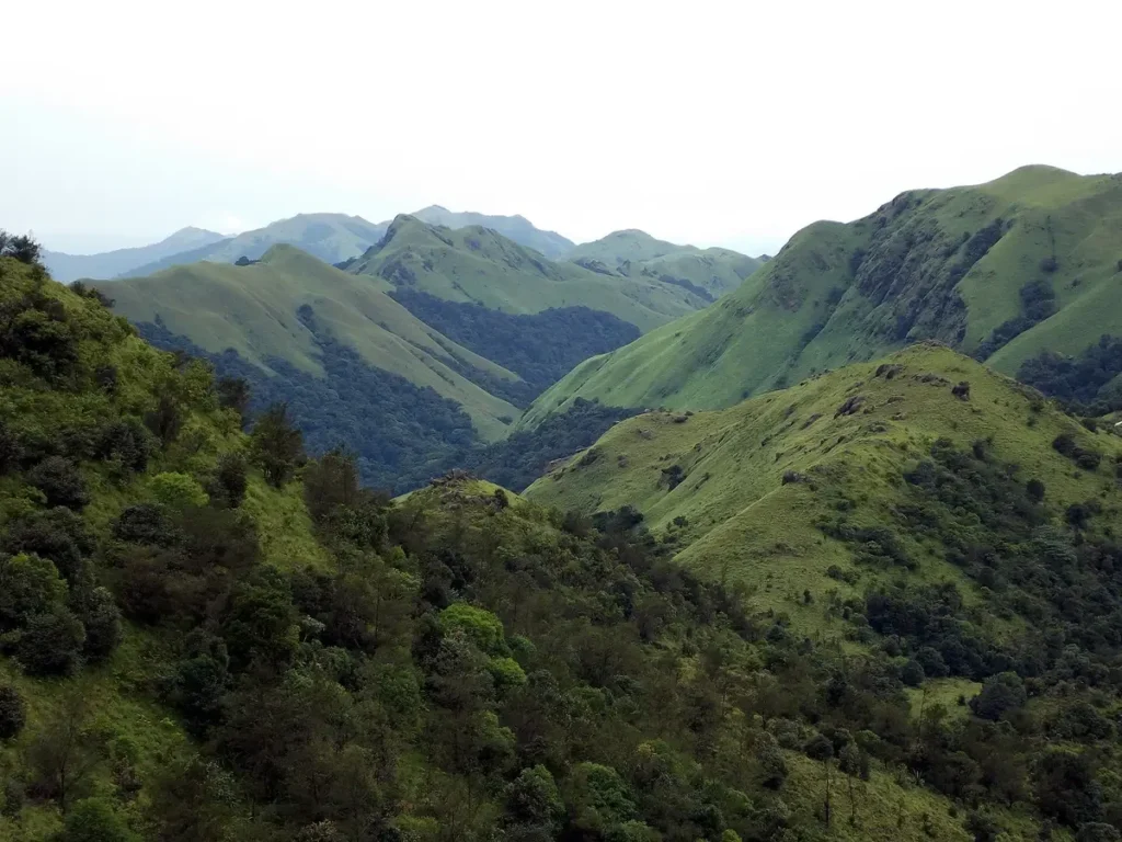 Forested hills of the Western Ghats in Coorg, the kind of natural capital environmental accounts measure