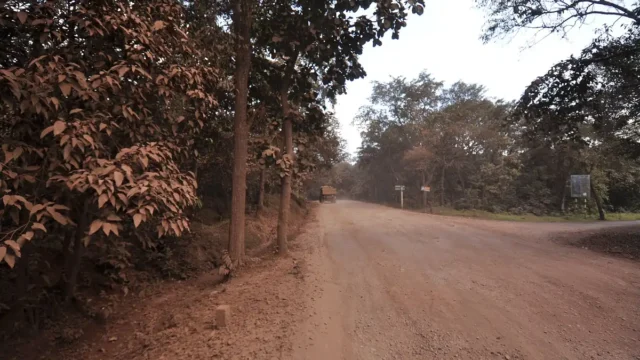 ForestRoadMiningDSC