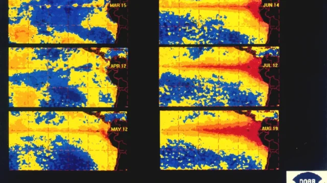 Sea surface temperature anomalies from March to August 1997 showing evolution of major El Nino (2268-446)