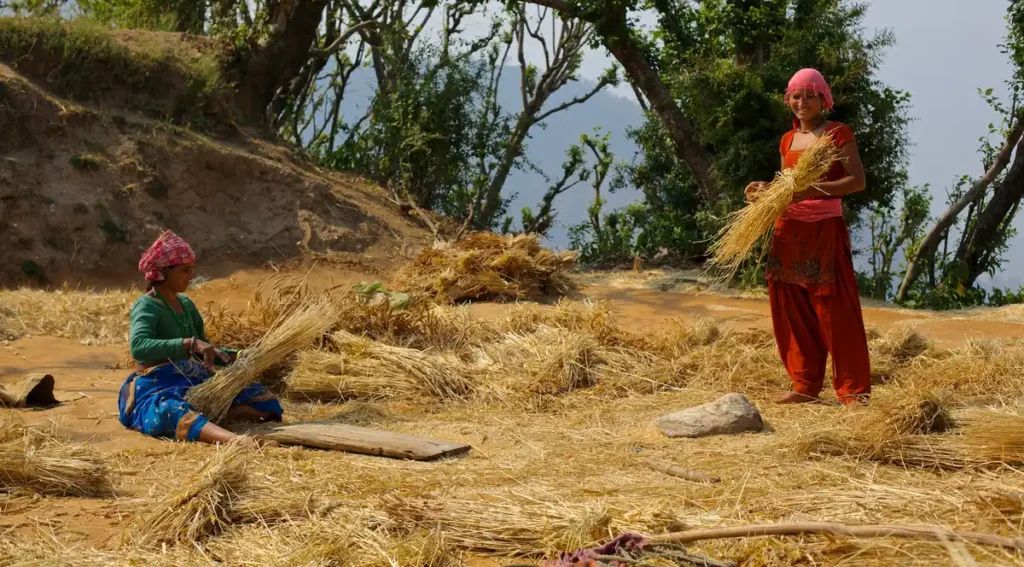 Women in rural India, near Nepalese border, May