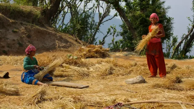 Women in rural India, near Nepalese border, May