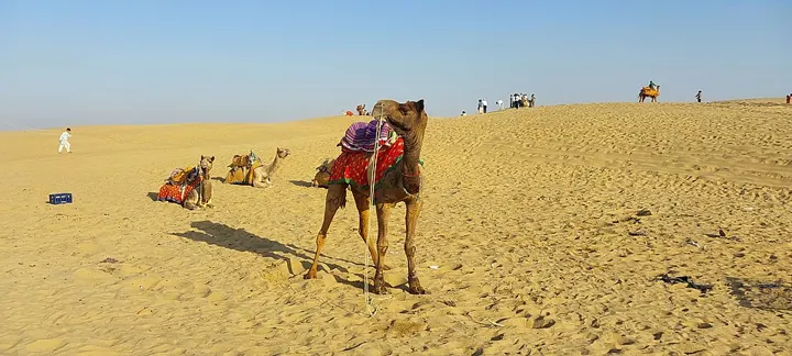 Sand dunes at Sam, near Jaisalmer, in the Thar desert
