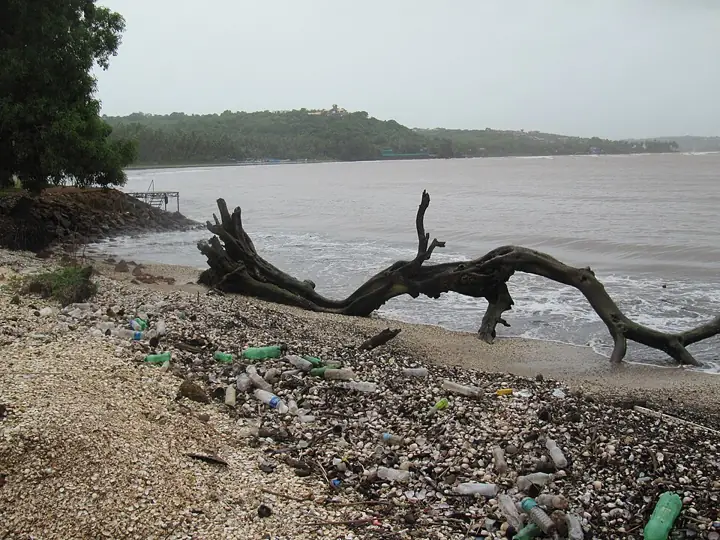Plastic bottles washed up at Coco Beach, Goa, where the Mandovi meets the sea